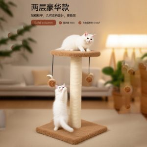 Pet Carrier Travel Bag