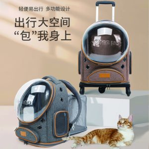 Transparent Panoramic Cat Backpack