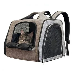 Pet Car Seat Carrier Expandable Portable