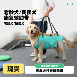 Dog Walking Support Sling Harness For Elderly Dogs