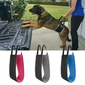 Dog Walking Support Sling Pet Assist Harness for Post-Surgery Recovery