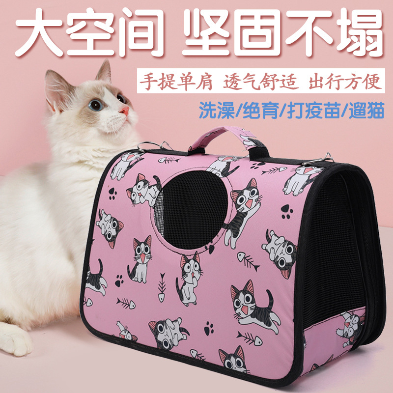 Portable Space Capsule Pet Carrier Backpack For Winter
