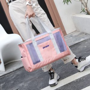 Transparent Breathable Pet Carrier Bag For Summer