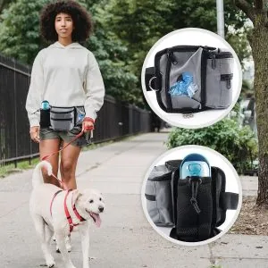 Pet Training Waist Bag Outdoor Dog Walking Treat Pouch