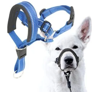 Adjustable Nylon Dog Muzzle Anti-Bark Breathable Mesh