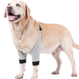 Dog Front Leg Knee Protector Sleeve For Injury Recovery