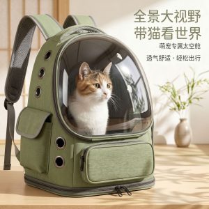 Transparent Window Airline Approved Pet Carrier
