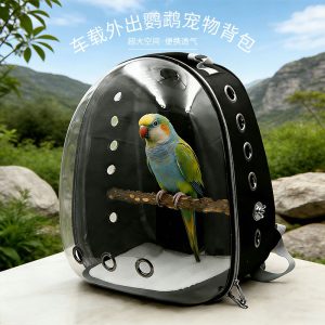Transparent Window Parrot Carrier
