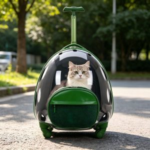 Panoramic Window Stylish Pet Rolling Carrier