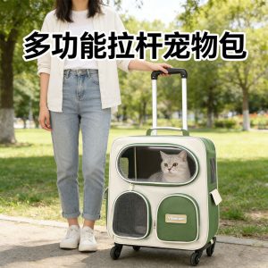 Large Capacity Pet Rolling Carrier Style C