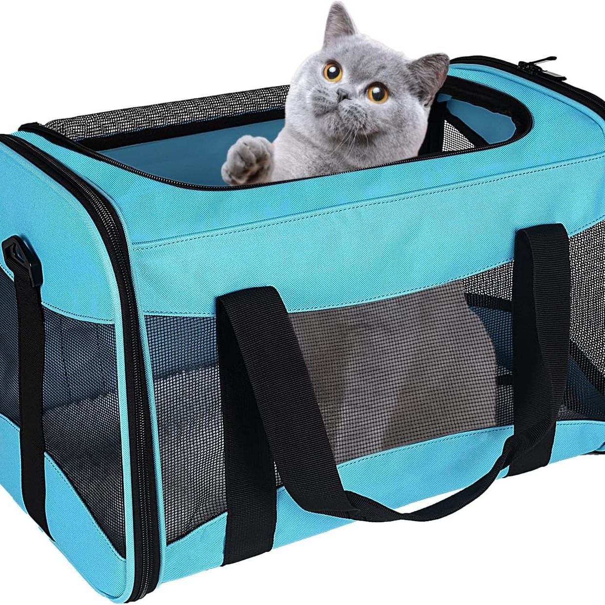Foldable Breathable Soft-Sided Pet Carrier S02 - Image 4