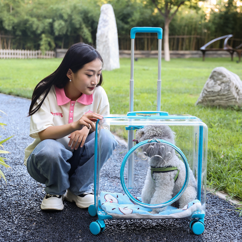 Window Large Capacity Pet Rolling Carrier S05 - Image 3