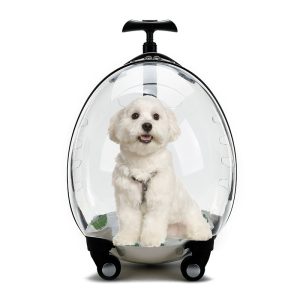 Window Large Capacity Pet Rolling Carrier S07
