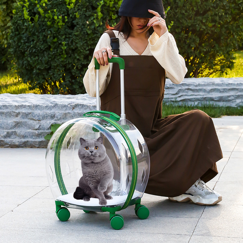 Window Large Capacity Pet Rolling Carrier S10 - Image 2