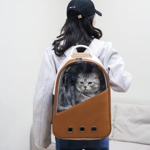 Foldable Breathable Cat Backpack Carrier S03