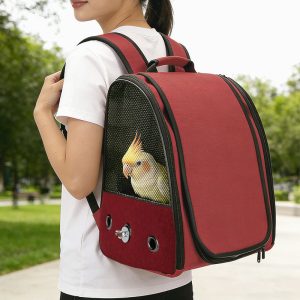 Foldable Parrot Carrier