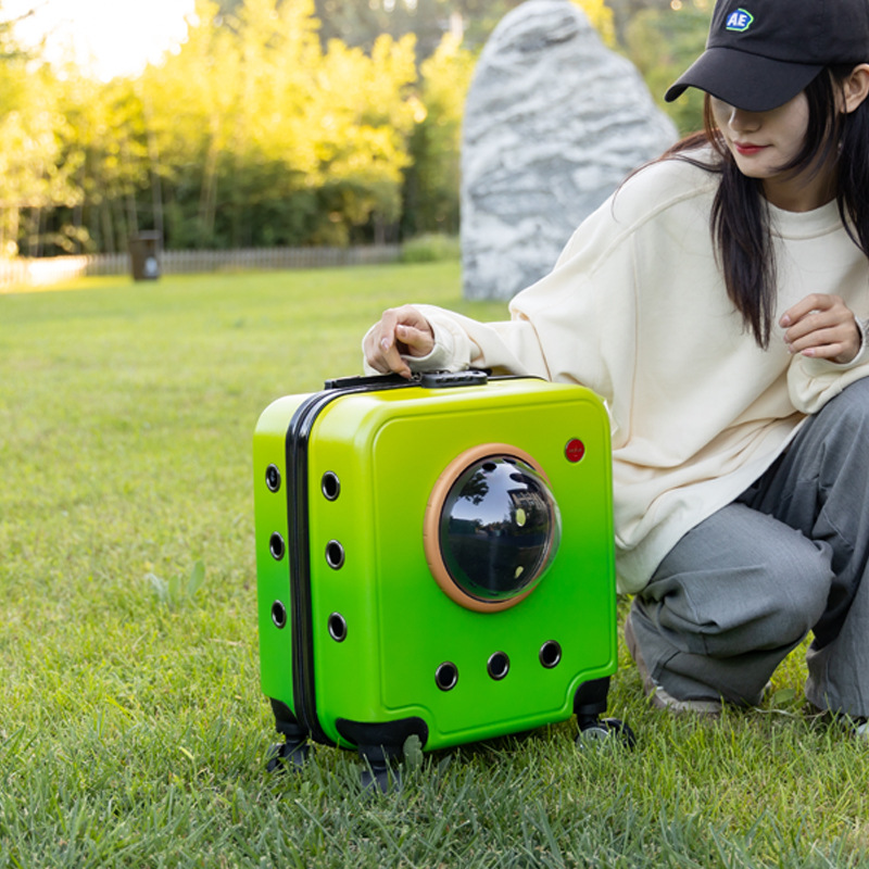 Window Large Capacity Pet Rolling Carrier S11 - Image 3