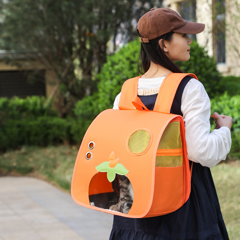 Large Capacity Breathable Cat Backpack Carrier S17 - Image 2