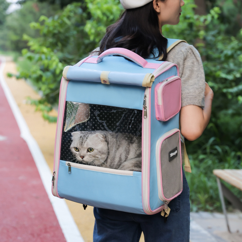 Pet Backpack Carrier S04