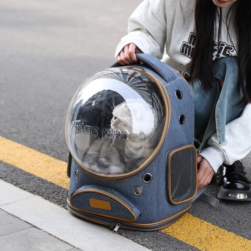 Lightweight Space Capsule Pet Backpack Style B