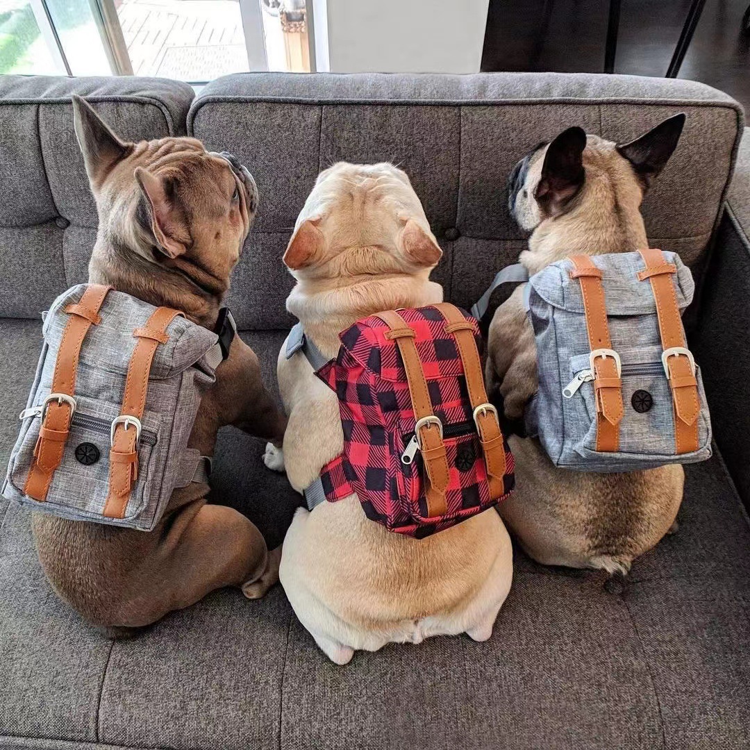 Dog Backpack Carrier
