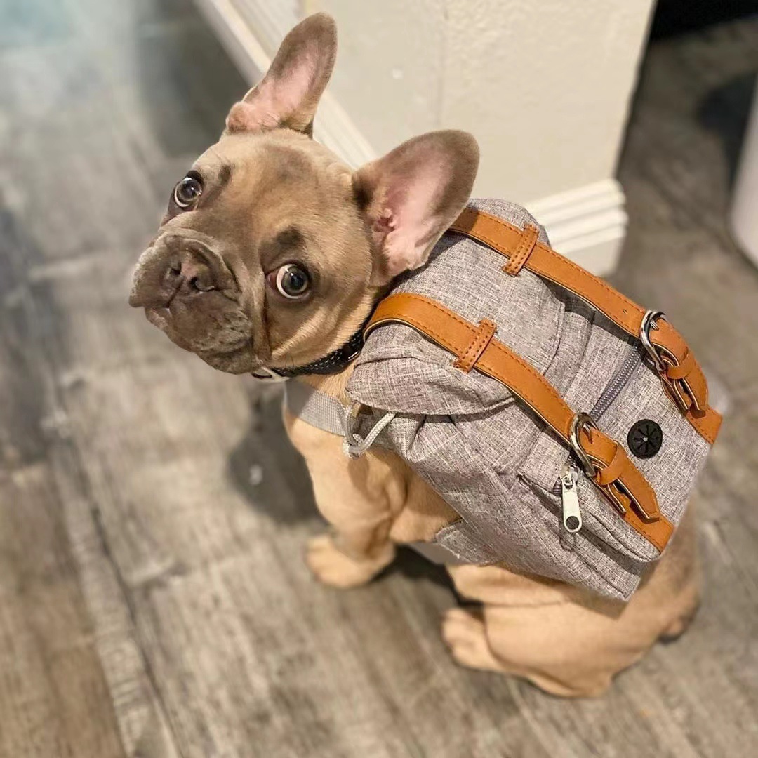 Dog Backpack Carrier - Image 2