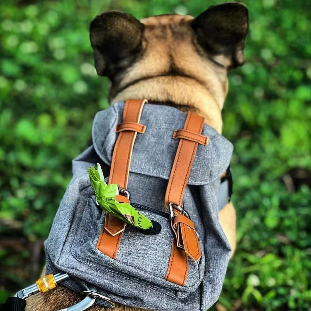 Dog Backpack Carrier - Image 3