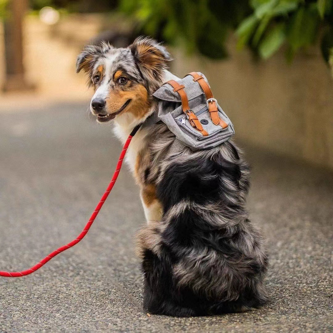 Dog Backpack Carrier - Image 4