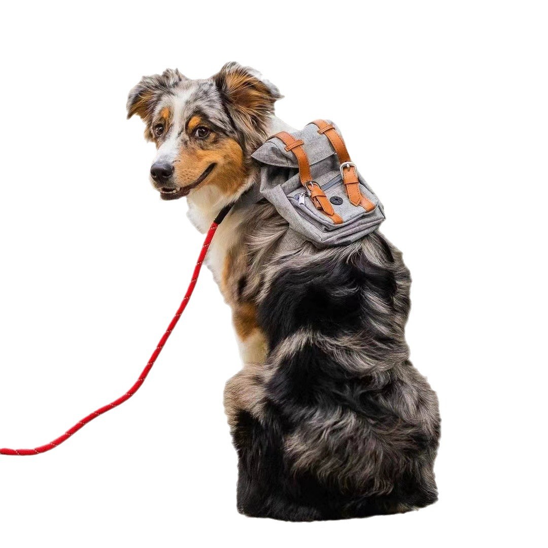 Dog Backpack Carrier - Image 5