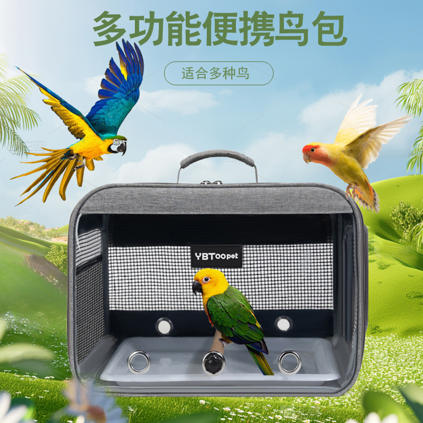 Large Capacity Breathable Parrot Carrier S02 - Image 2