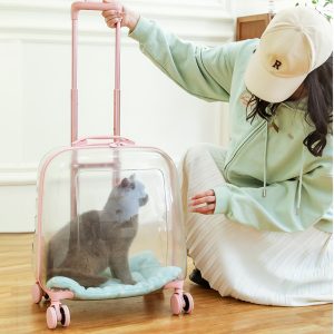 Window Large Capacity Pet Rolling Carrier S15