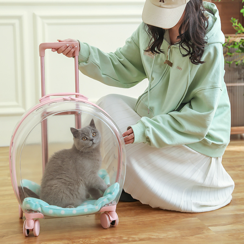 Window Large Capacity Pet Rolling Carrier S16