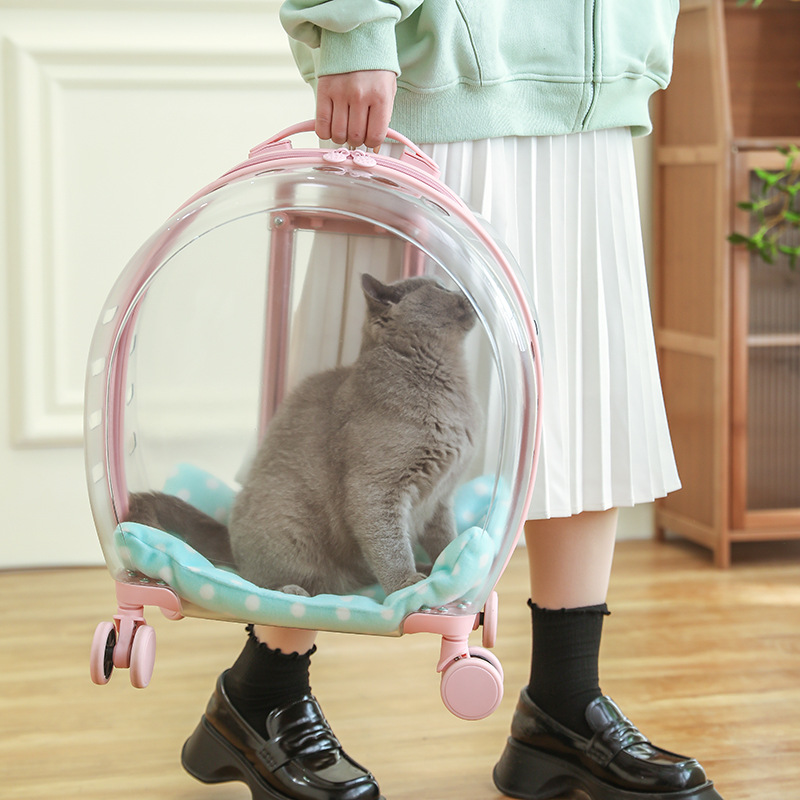 Window Large Capacity Pet Rolling Carrier S16 - Image 2