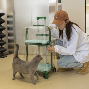 Transparent Window Double-Compartment Pet Rolling Carrier