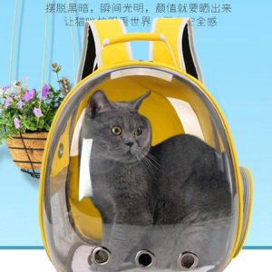 Window Breathable Space Capsule Pet Backpack S04