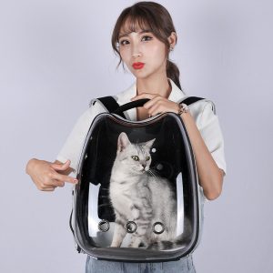 Transparent Window Breathable Car Seat Cat Soft Carrier