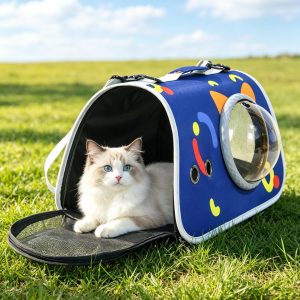 Window Large Capacity Space Capsule Pet Backpack S19