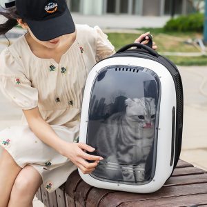 Foldable Breathable Space Capsule Pet Backpack S01