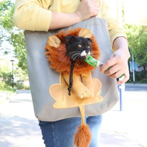 Head-Out Stylish Pet Sling Carrier