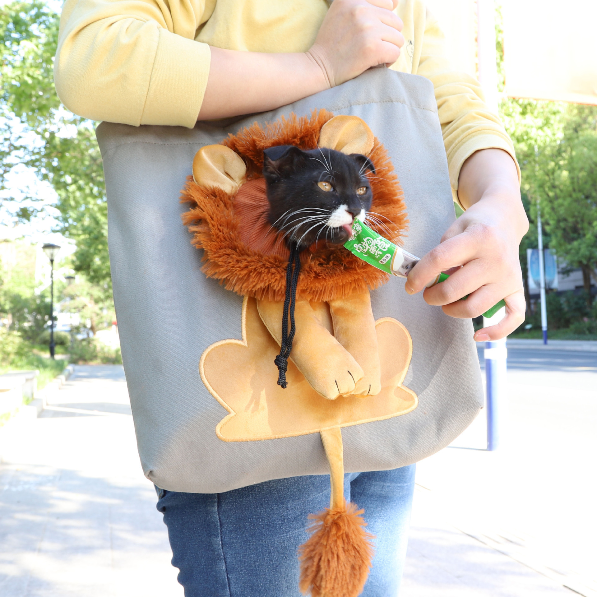 Head-Out Stylish Pet Sling Carrier
