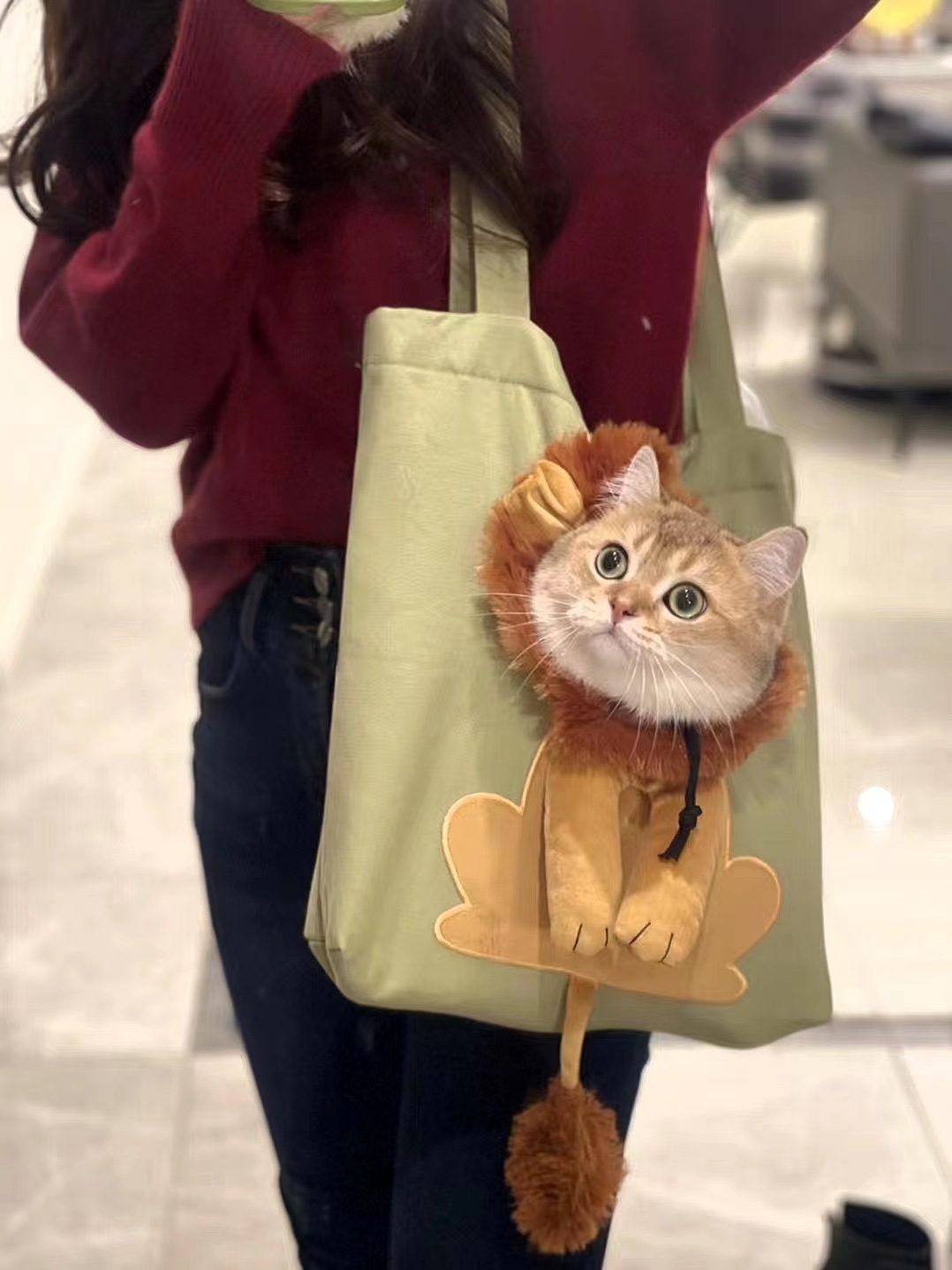 Head-Out Stylish Pet Sling Carrier - Image 6