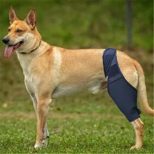 Dog Leg Fracture Support Brace Front and Rear Leg Splint